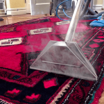 carpert and rug cleaners in pretoria